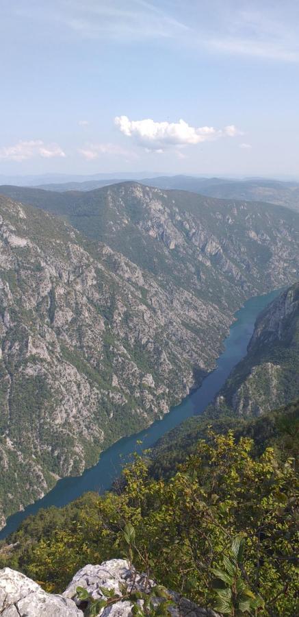 Joca Daire Bajina Basta Dış mekan fotoğraf